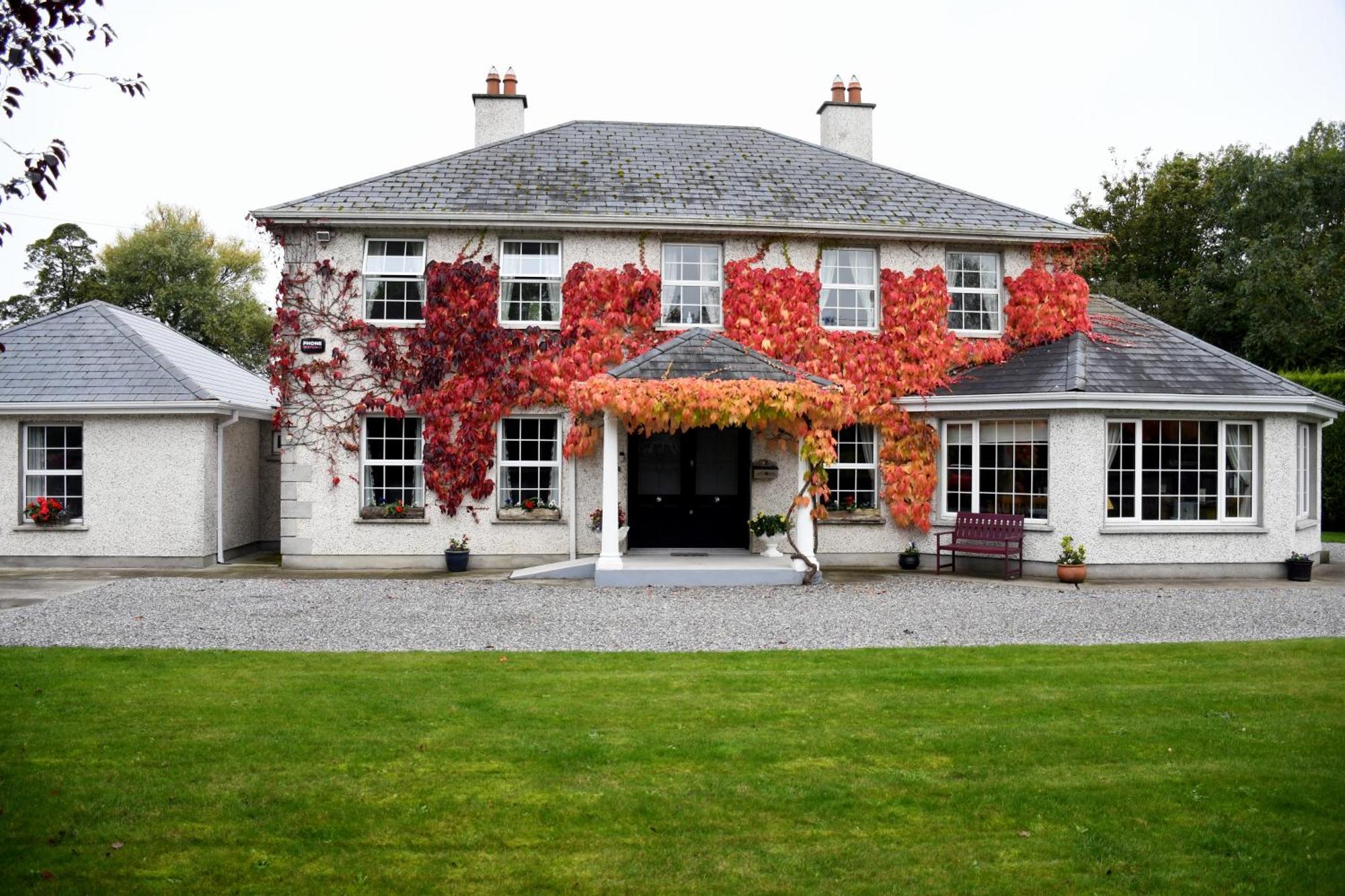 Orchard Grove Bed & Breakfast R21Rc58 Bagenalstown Buitenkant foto