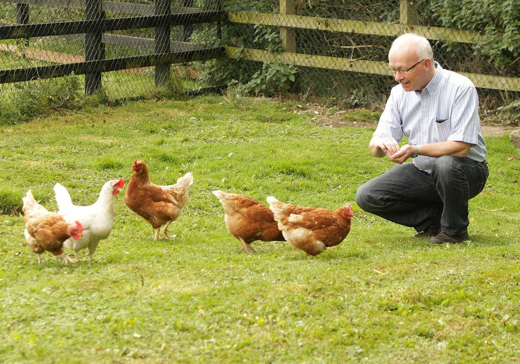 Orchard Grove Bed & Breakfast R21Rc58 Bagenalstown Buitenkant foto