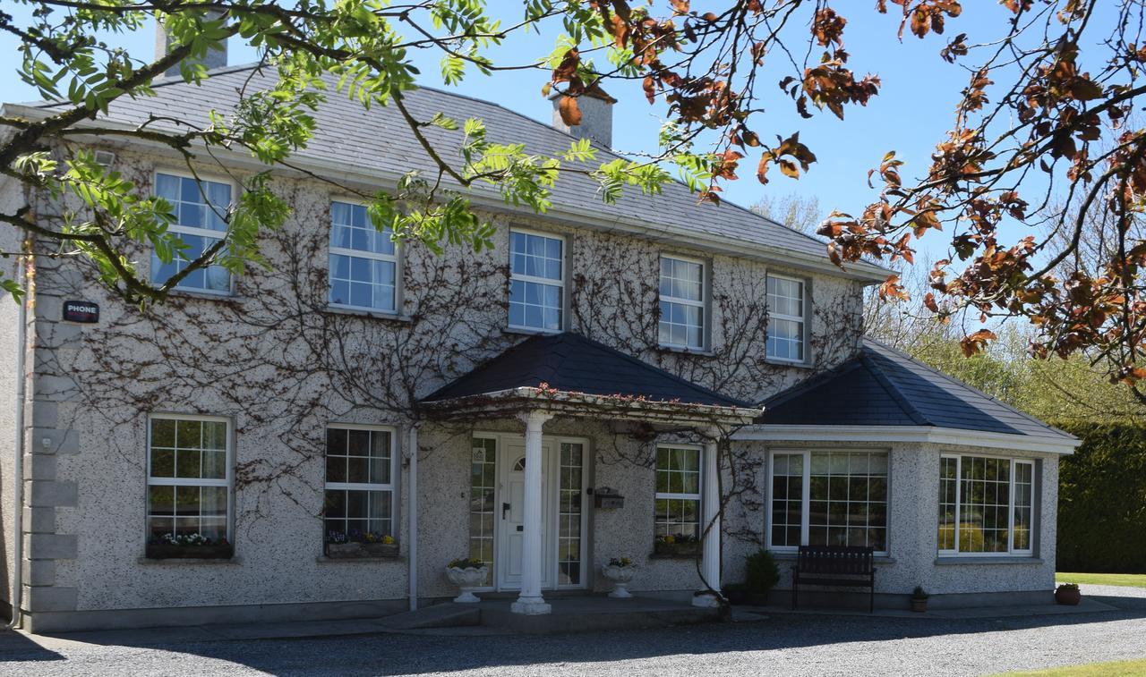 Orchard Grove Bed & Breakfast R21Rc58 Bagenalstown Buitenkant foto