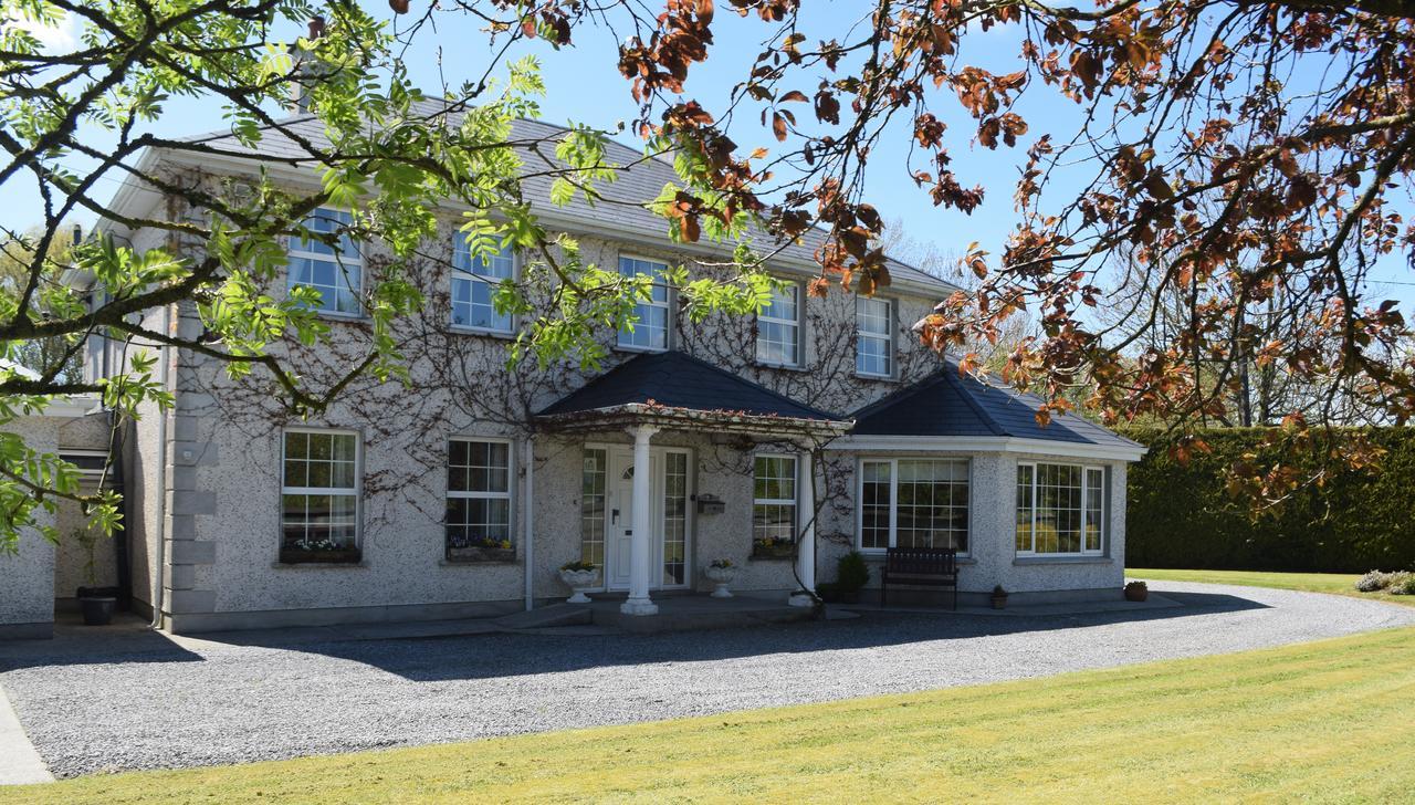 Orchard Grove Bed & Breakfast R21Rc58 Bagenalstown Buitenkant foto
