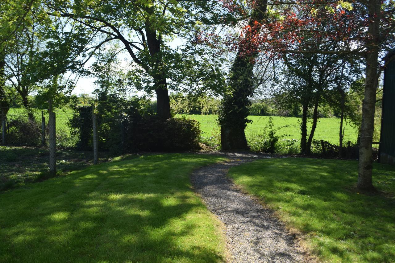 Orchard Grove Bed & Breakfast R21Rc58 Bagenalstown Buitenkant foto