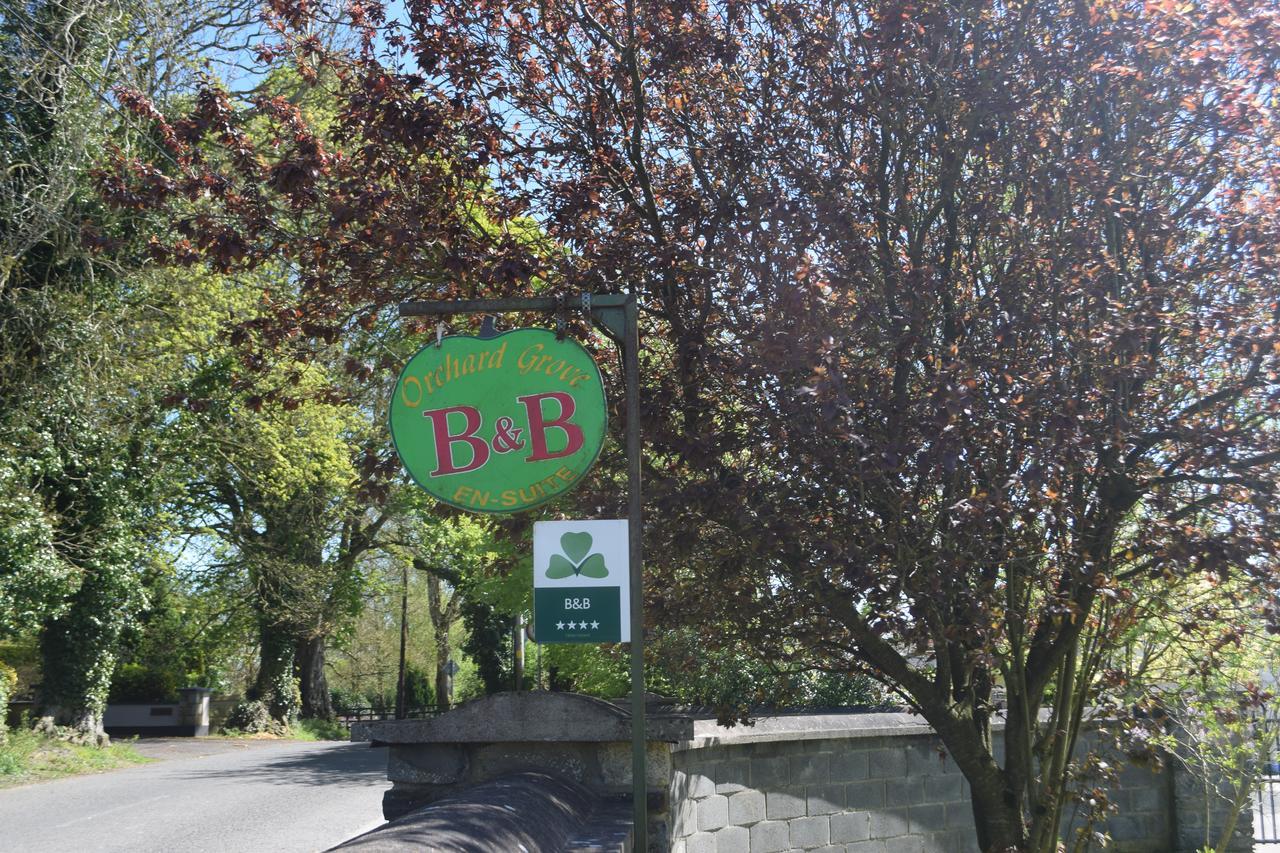Orchard Grove Bed & Breakfast R21Rc58 Bagenalstown Buitenkant foto